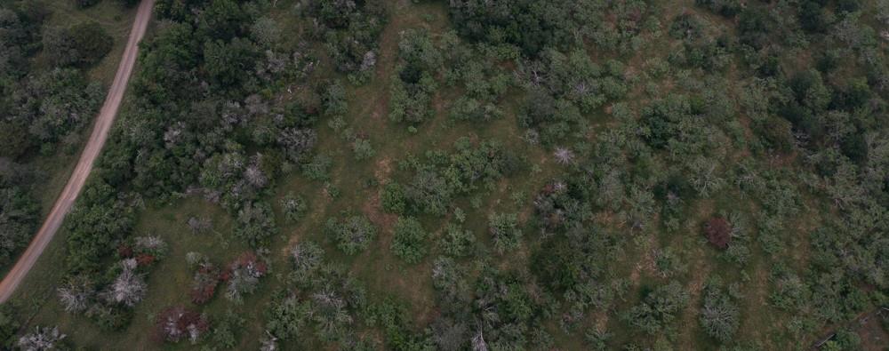 LOT 3 Private Road 4601, Waelder, TX 78959