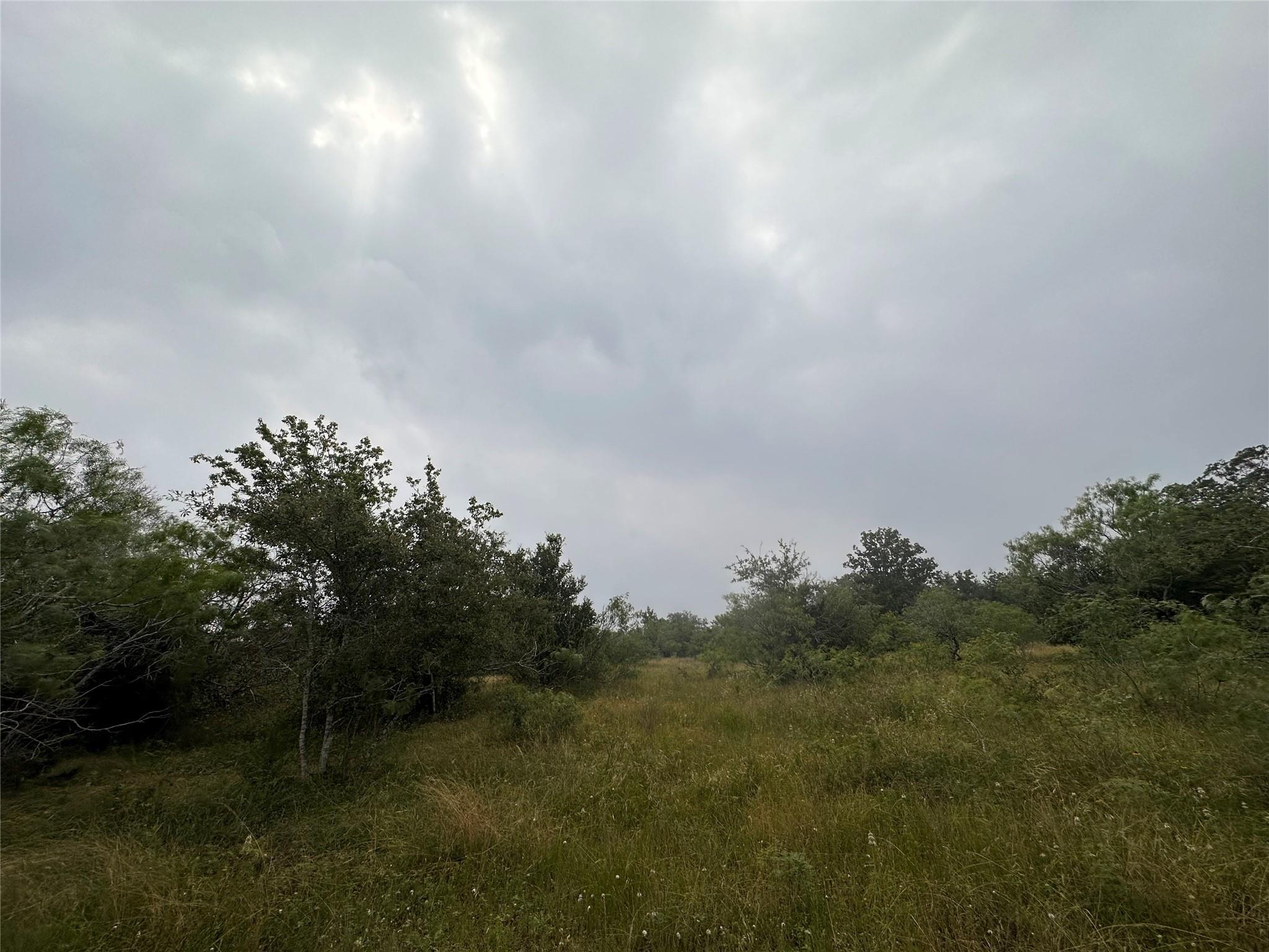 LOT 3 Private Road 4601, Waelder, TX 78959