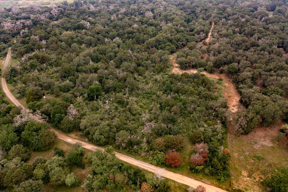 LOT 4 Private Road 4601, Waelder, TX 78959