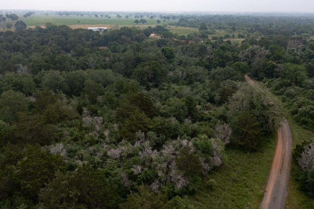 LOT 4 Private Road 4601, Waelder, TX 78959