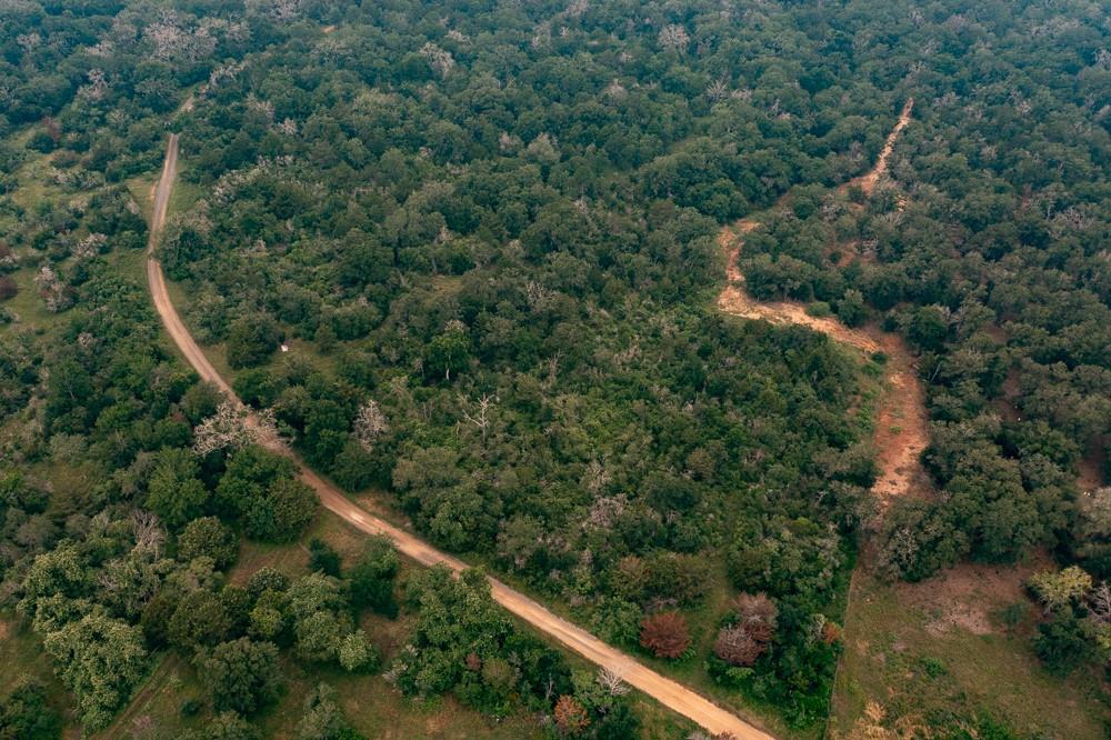 LOT 4 Private Road 4601, Waelder, TX 78959