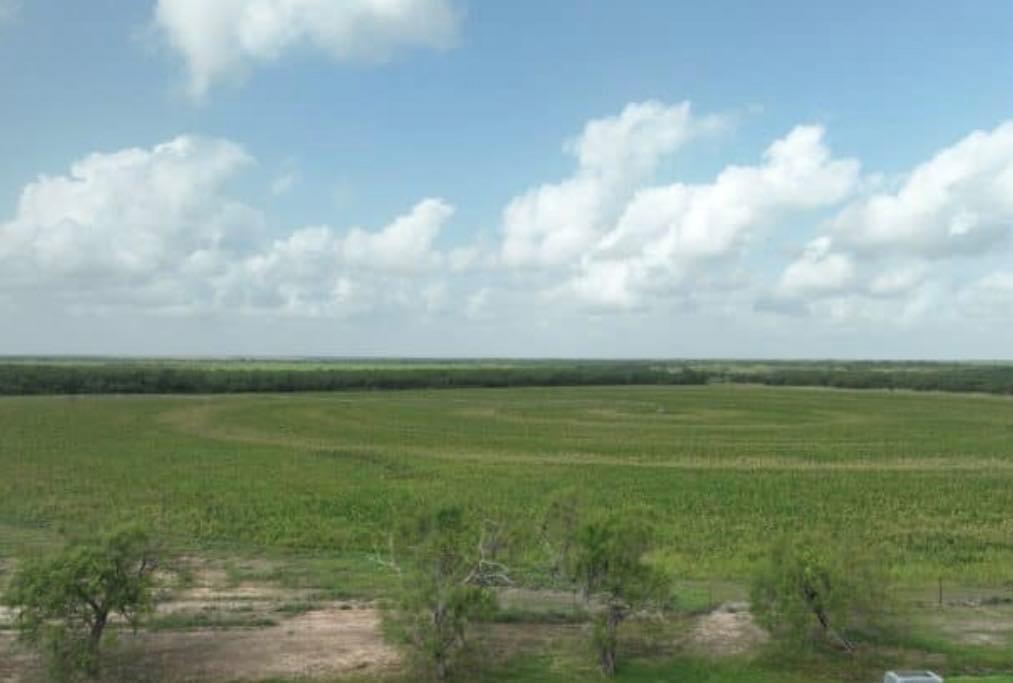 Moore, TX 78057