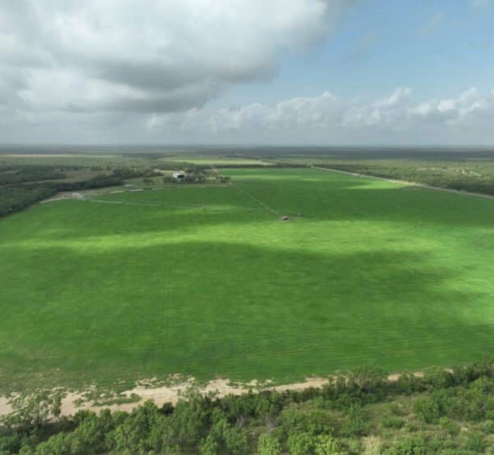 Moore, TX 78057