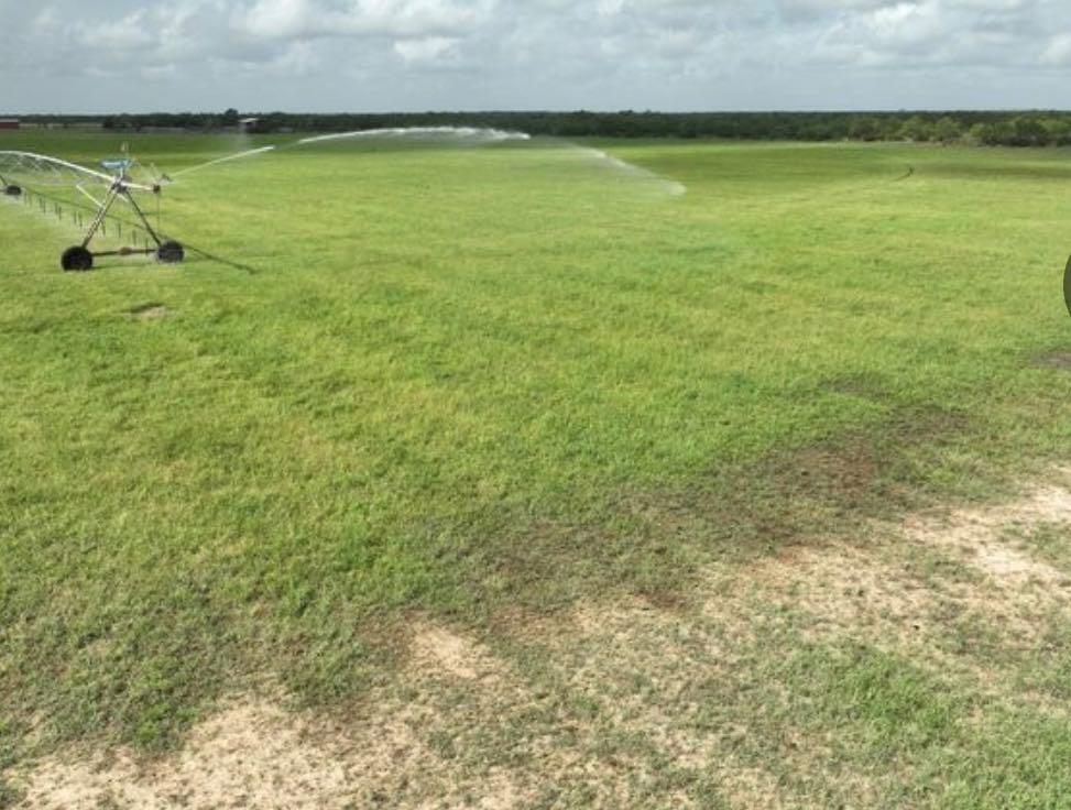 Moore, TX 78057