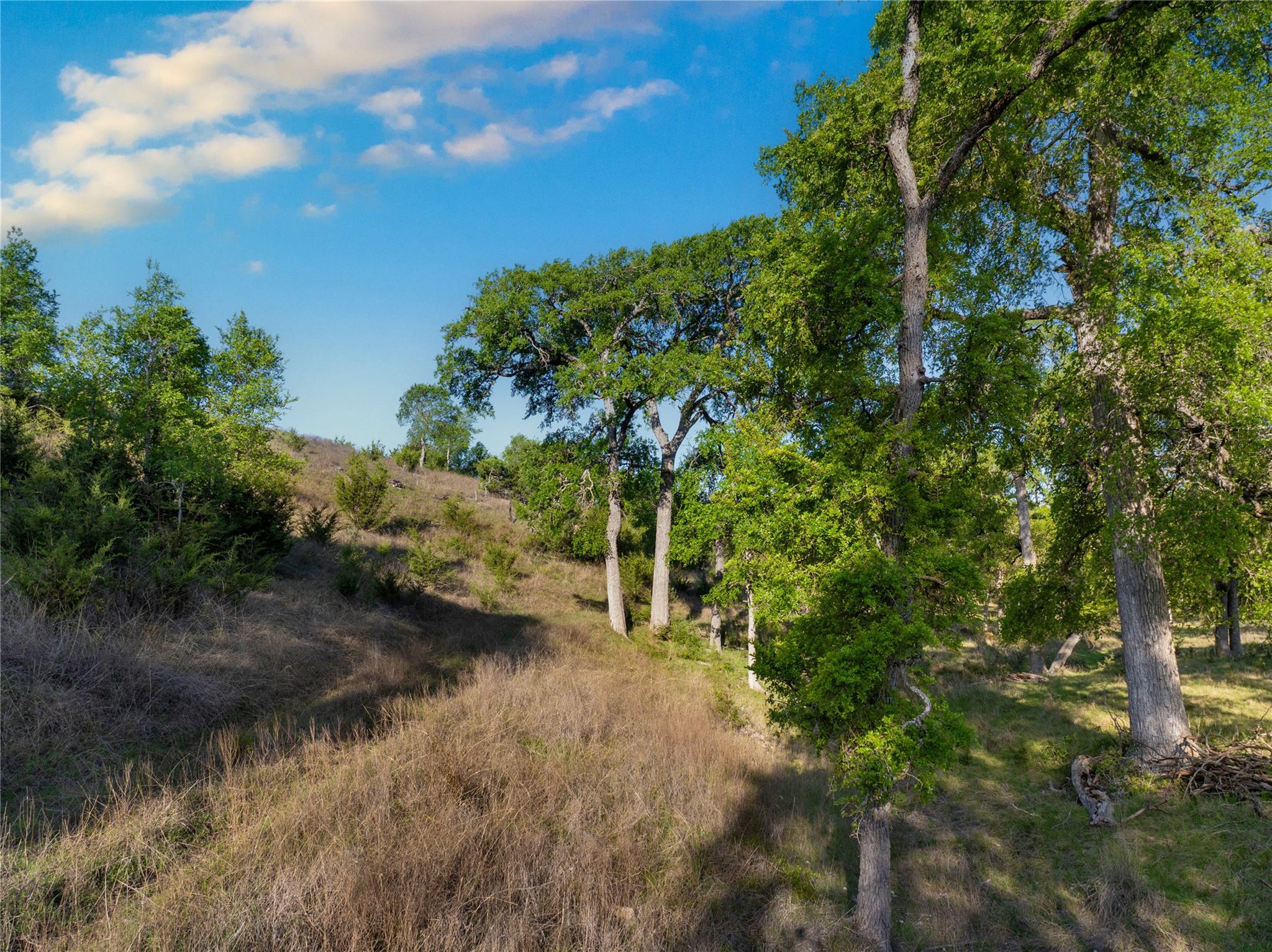 5525 Fm 2340 Rd, Burnet, TX 78611