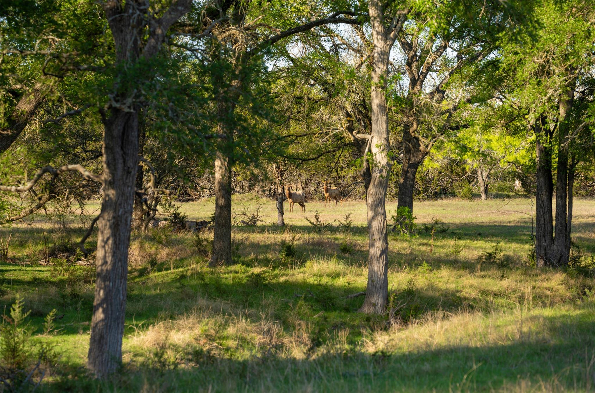 5525 Fm 2340 Rd, Burnet, TX 78611