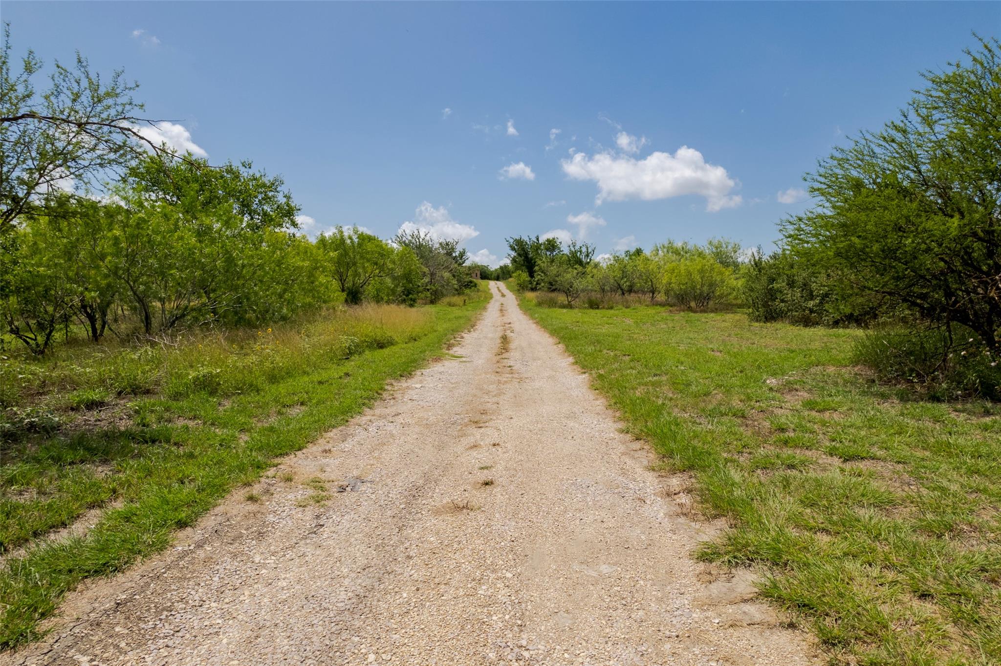 474 Heidenreich Ln, Kyle, TX 78640