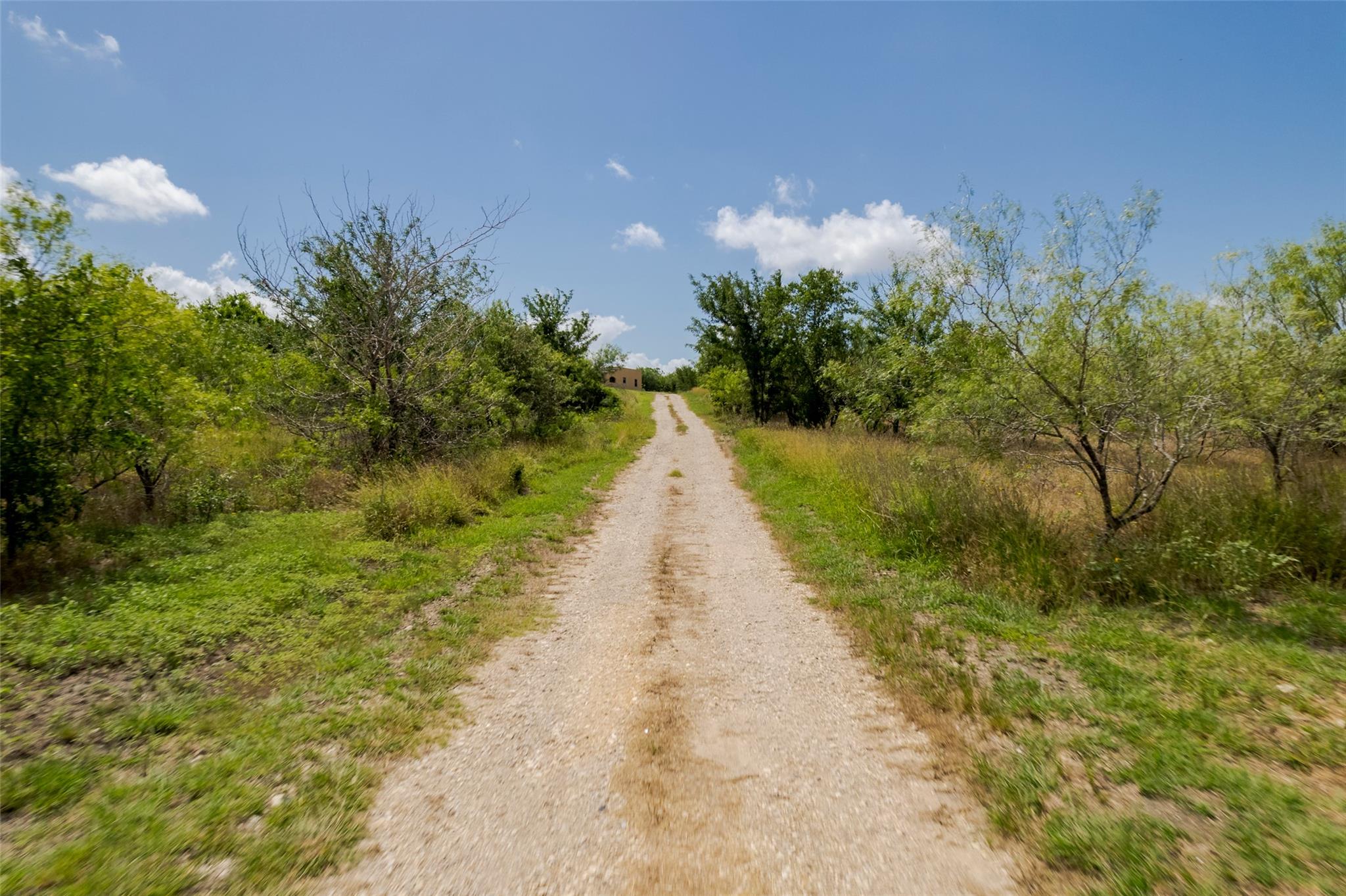 474 Heidenreich Ln, Kyle, TX 78640