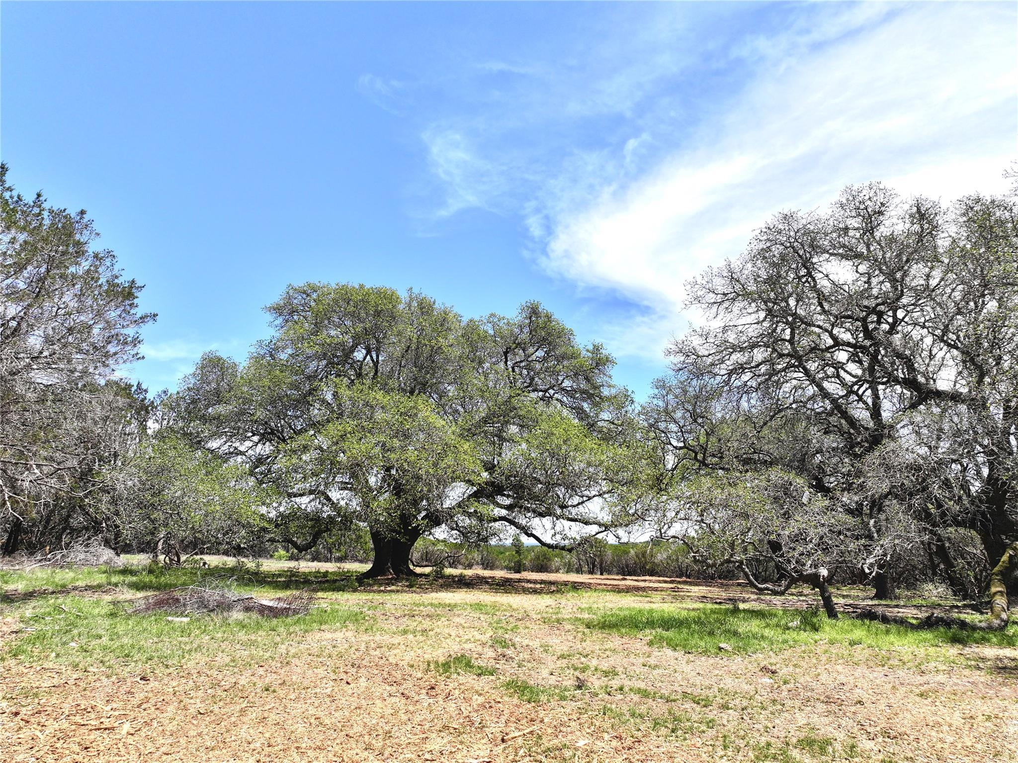 285 Donnie Dr, Lampasas, TX 76550