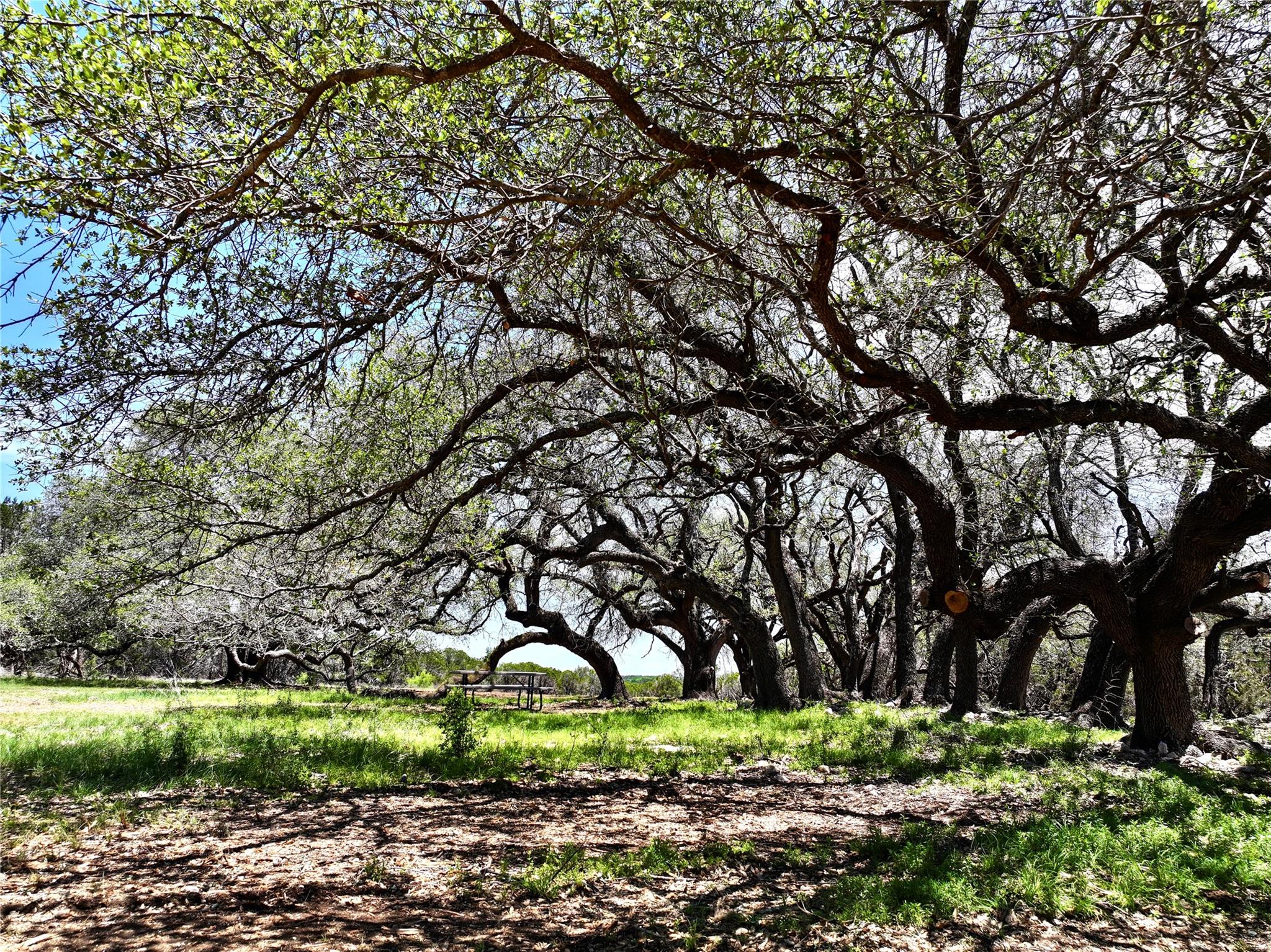 285 Donnie Dr, Lampasas, TX 76550