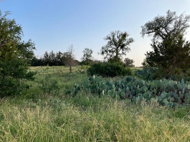 Lot 23 Cr 140, Burnet, TX 78611