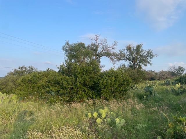 Lot 23 Cr 140, Burnet, TX 78611