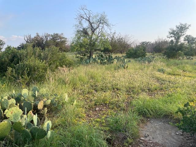 Lot 23 Cr 140, Burnet, TX 78611
