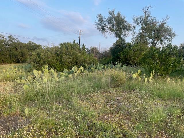 Lot 23 Cr 140, Burnet, TX 78611