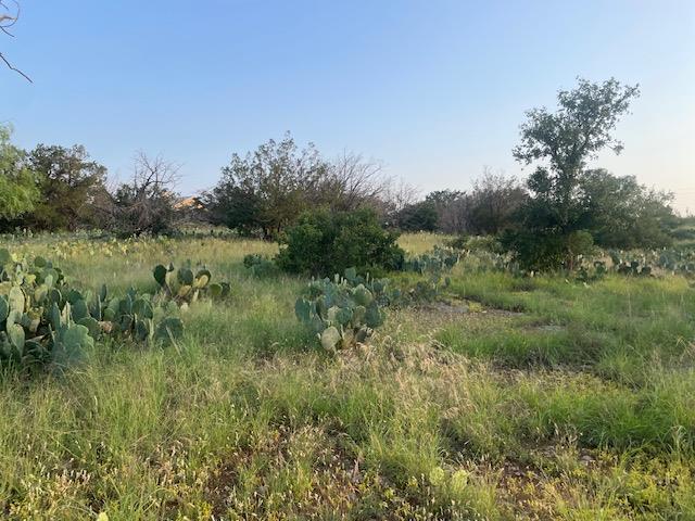 Lot 23 Cr 140, Burnet, TX 78611