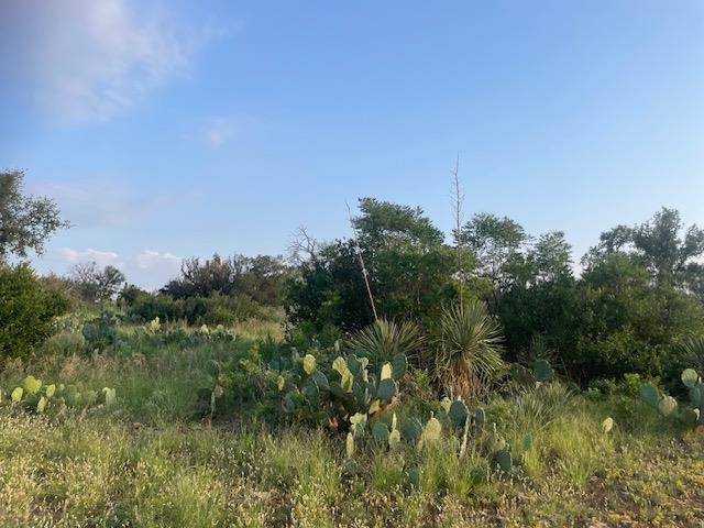 Lot 23 Cr 140, Burnet, TX 78611