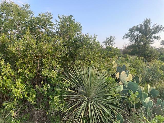 Lot 23 Cr 140, Burnet, TX 78611