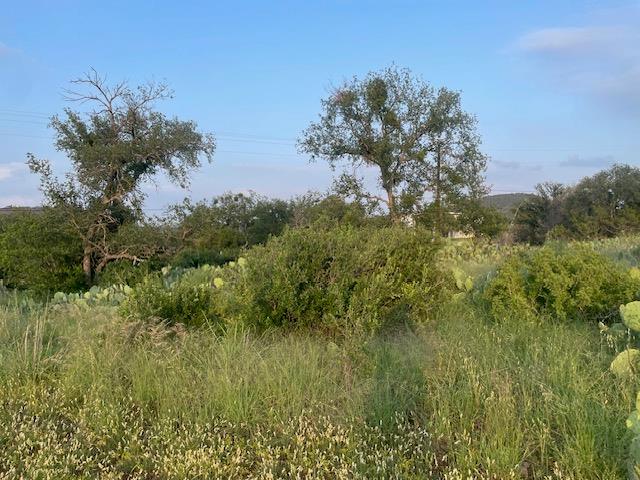 Lot 23 Cr 140, Burnet, TX 78611