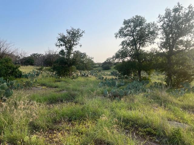 Lot 23 Cr 140, Burnet, TX 78611