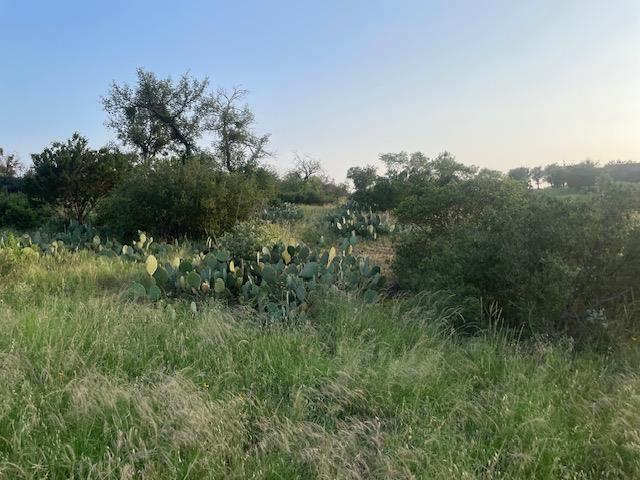 Lot 23 Cr 140, Burnet, TX 78611