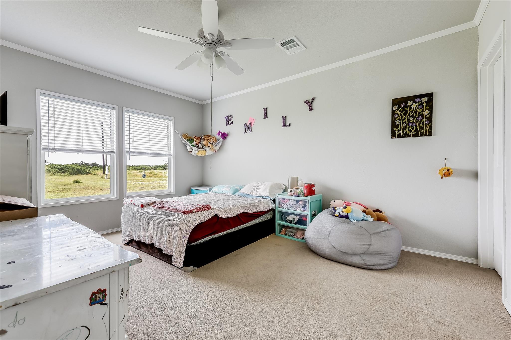 1284 County Road 250, Burnet, TX 78611