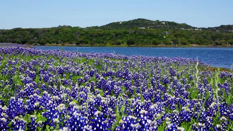 TBD Oakwood Loop, San Marcos, TX 78666