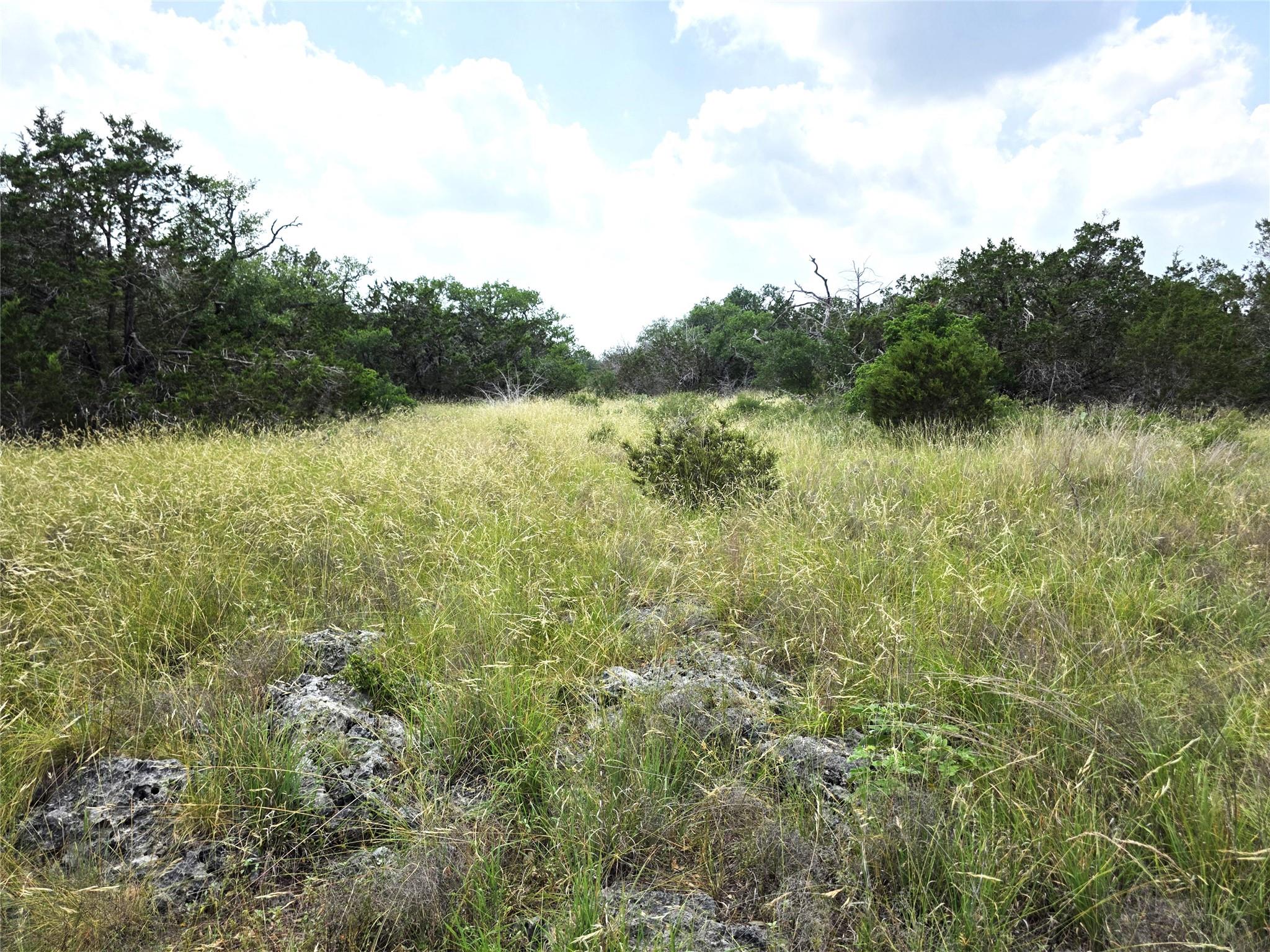 TBD Oakwood Loop, San Marcos, TX 78666