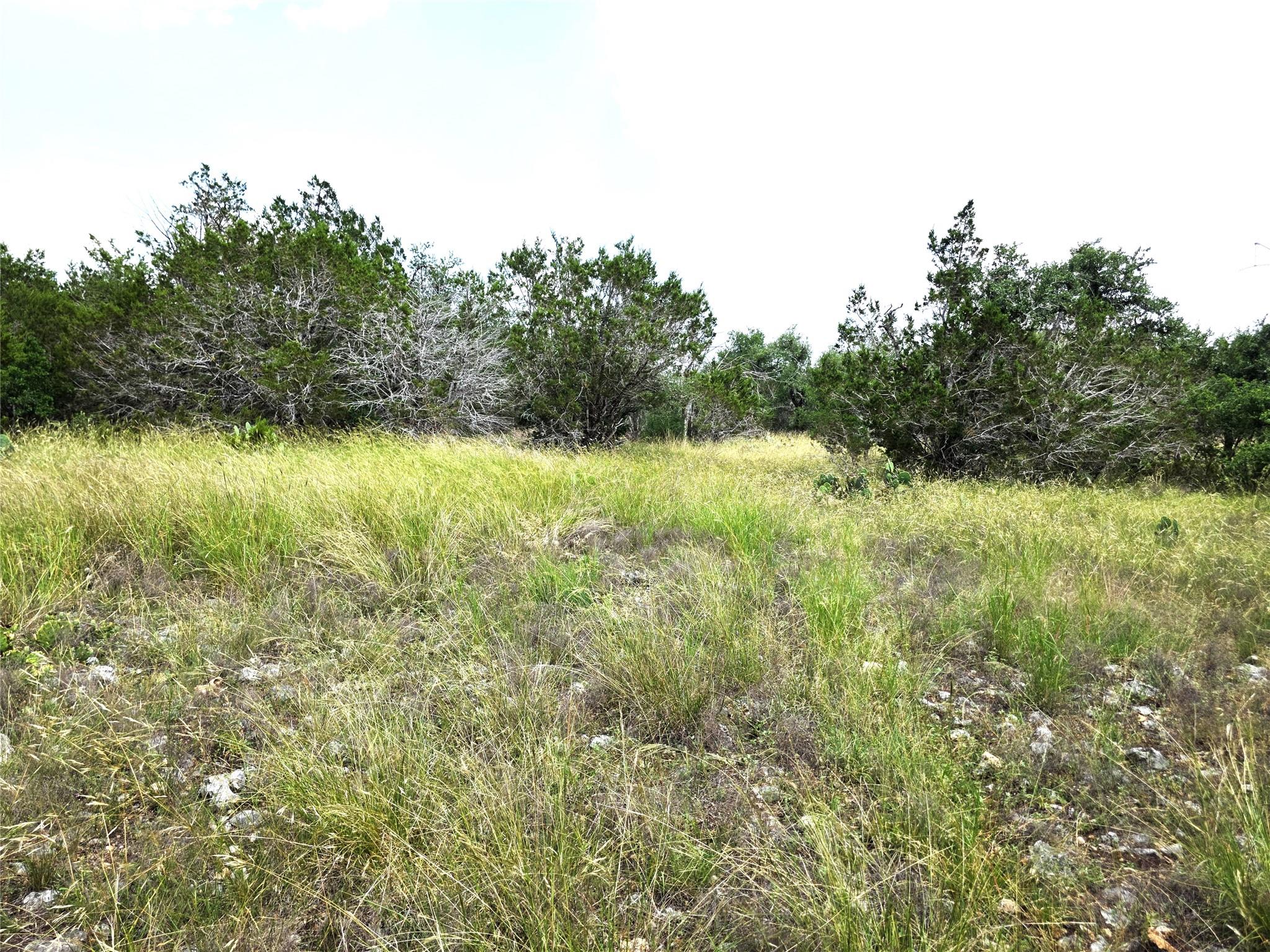 TBD Oakwood Loop, San Marcos, TX 78666