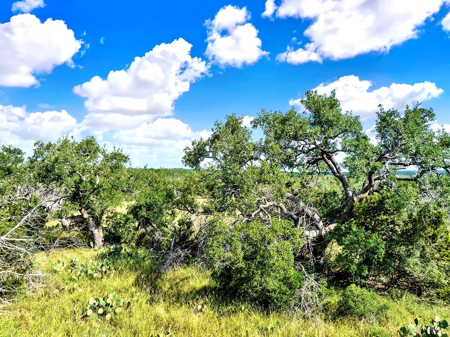 TBD Oakwood Loop, San Marcos, TX 78666
