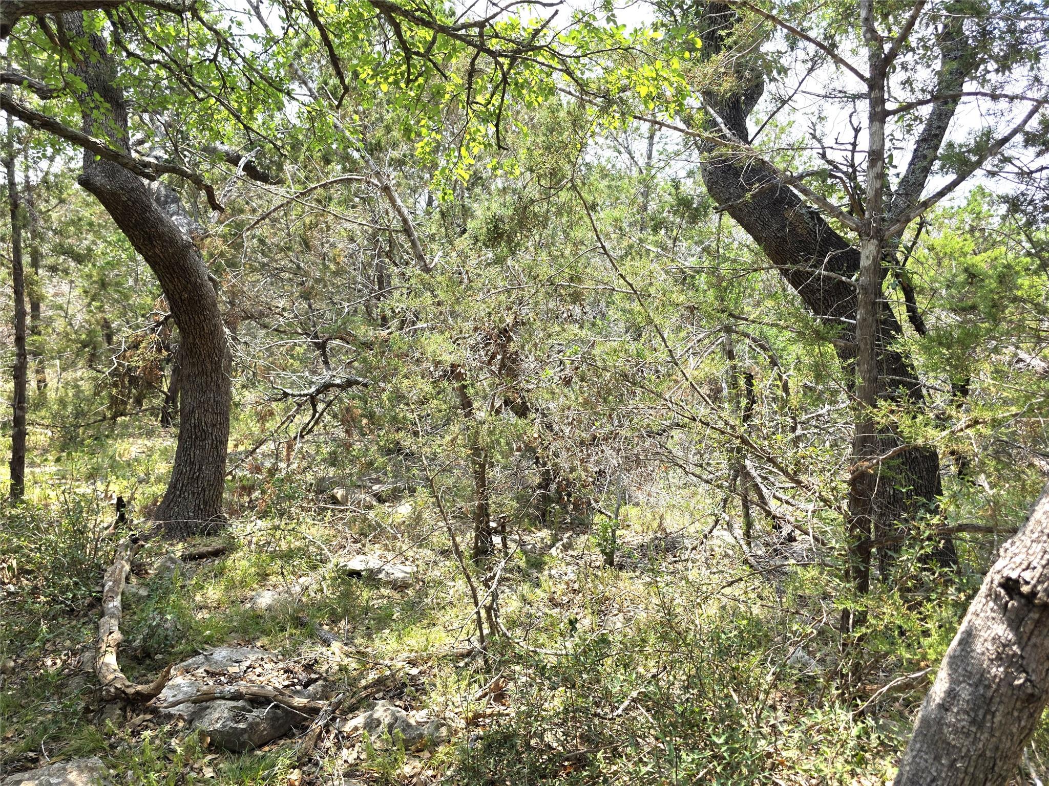 TBD Oakwood Loop, San Marcos, TX 78666