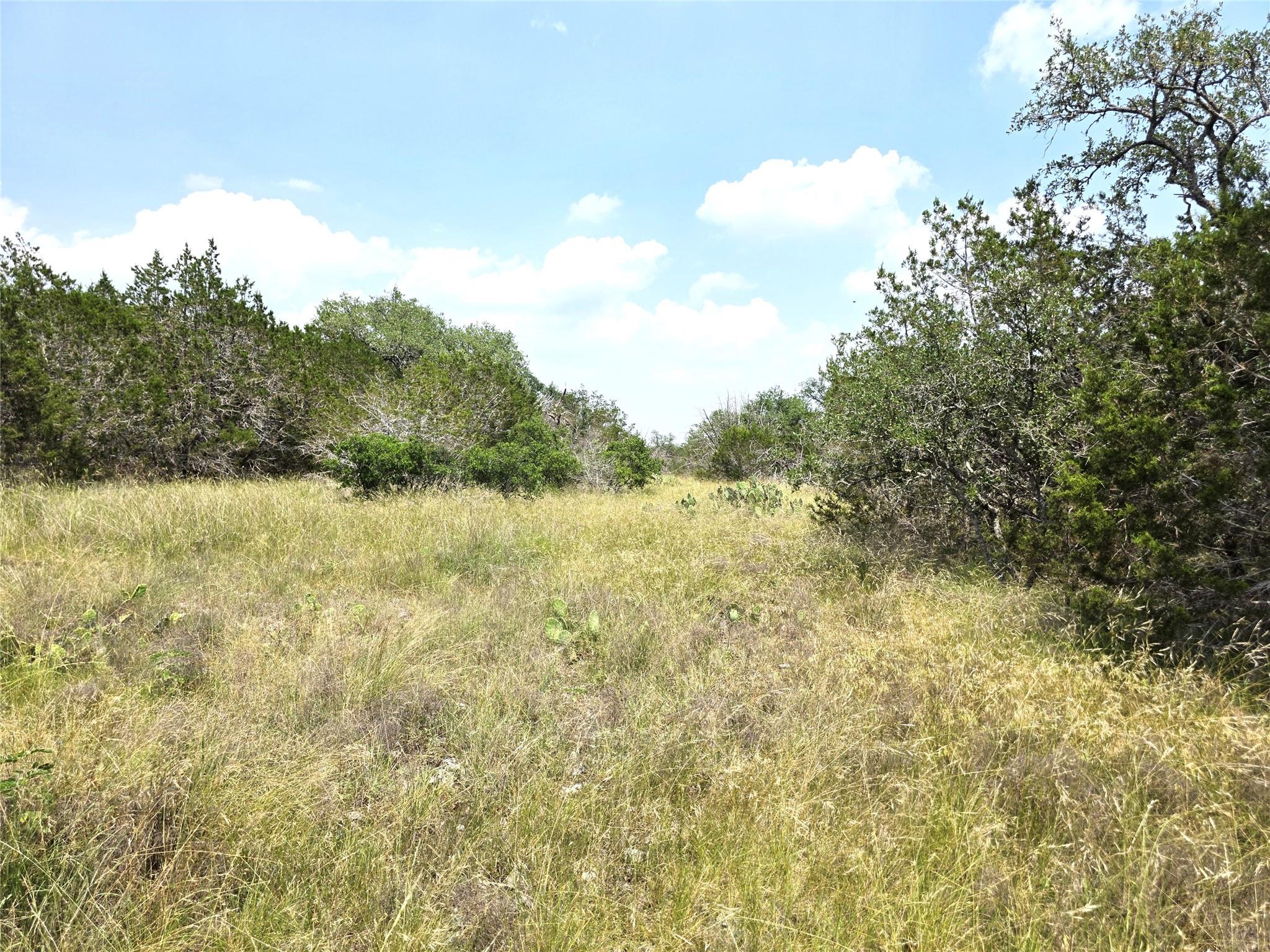 TBD Oakwood Loop, San Marcos, TX 78666