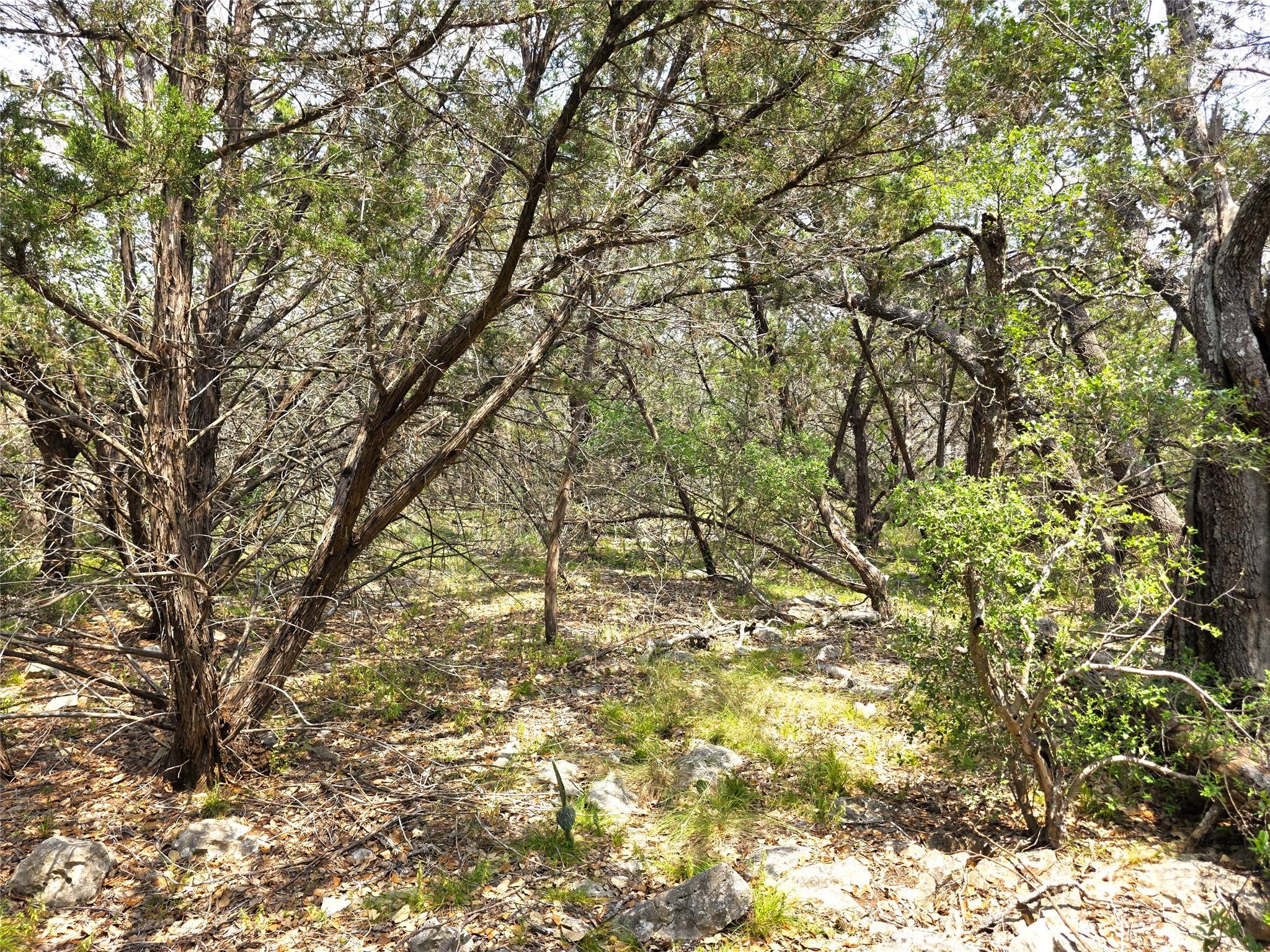 TBD Oakwood Loop, San Marcos, TX 78666