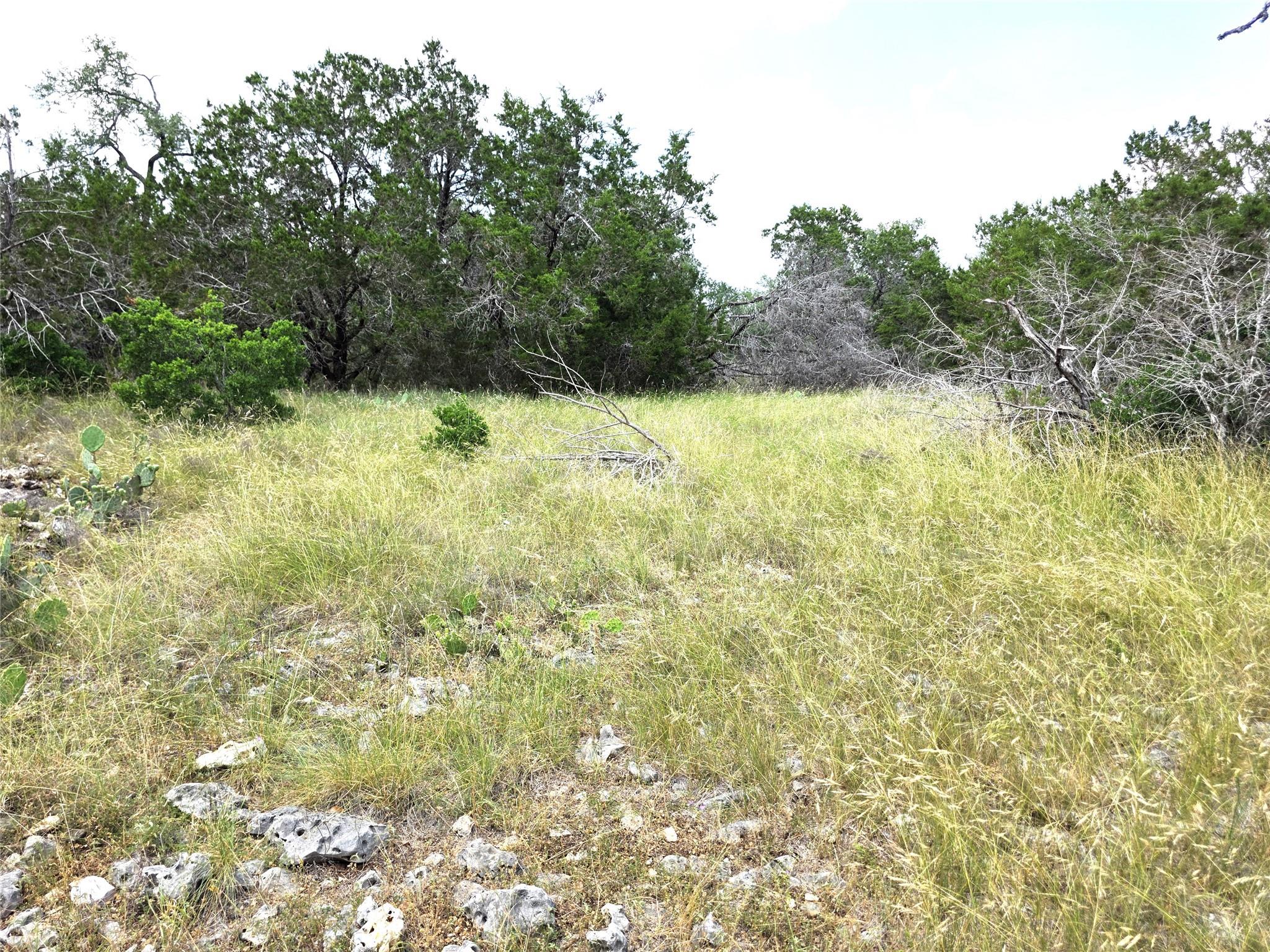 TBD Oakwood Loop, San Marcos, TX 78666