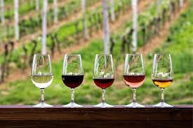 TBD Oakwood Loop, San Marcos, TX 78666