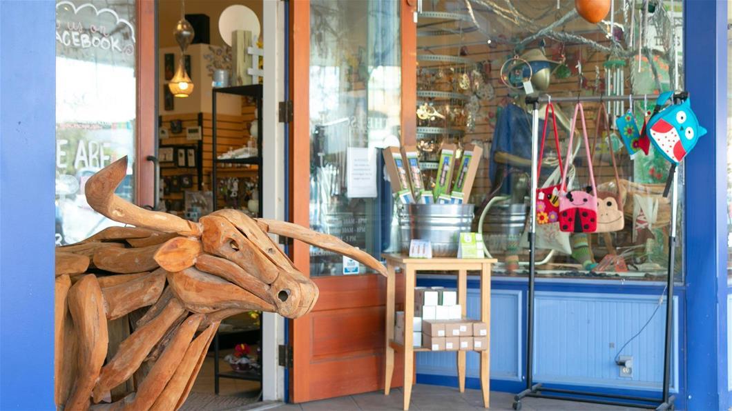 116 Carnation Carnation Cv, Georgetown, TX 78628