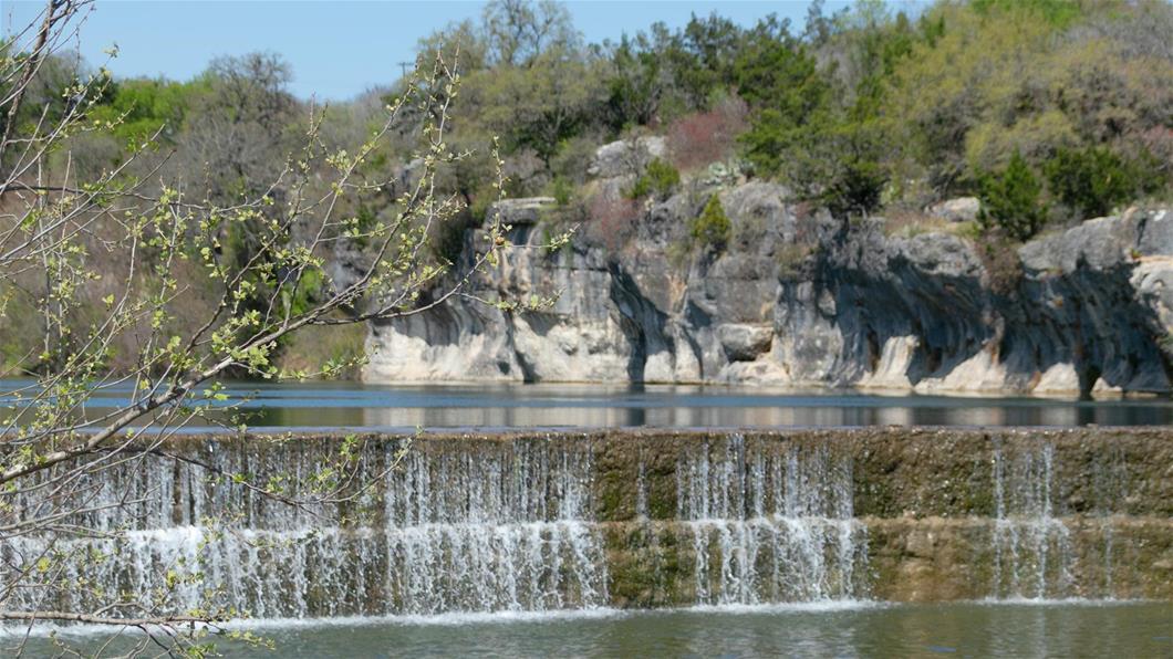 116 Carnation Carnation Cv, Georgetown, TX 78628