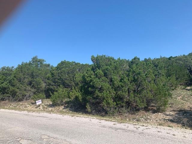 21402 Santa Domingo Ln, Lago Vista, TX 78645