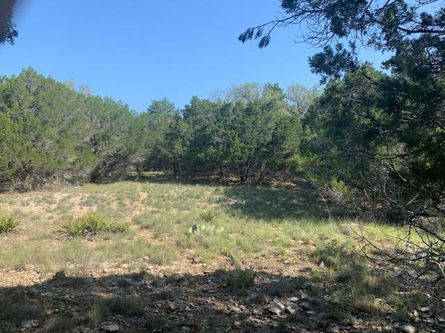 21402 Santa Domingo Ln, Lago Vista, TX 78645