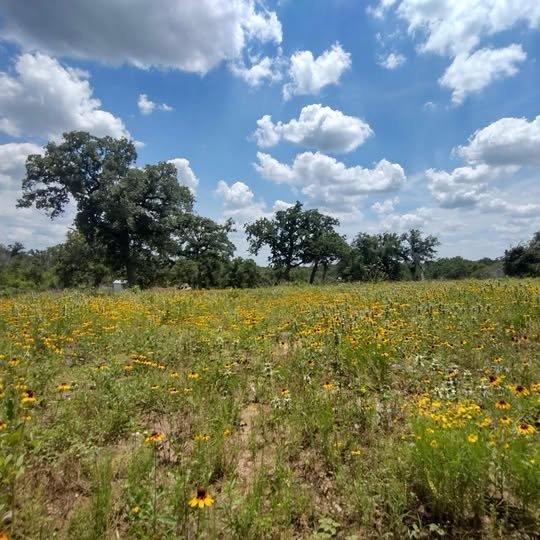 208 Rolling Oak Dr, Elgin, TX 78621
