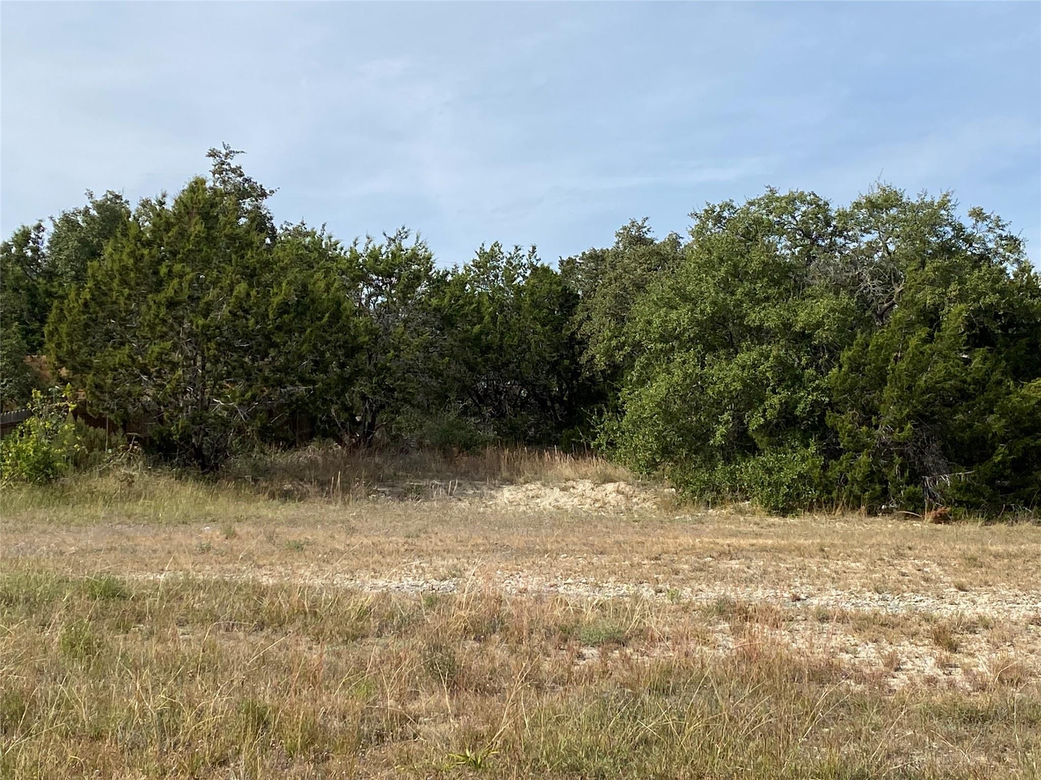 104 S Meadowlark St, Lakeway, TX 78734