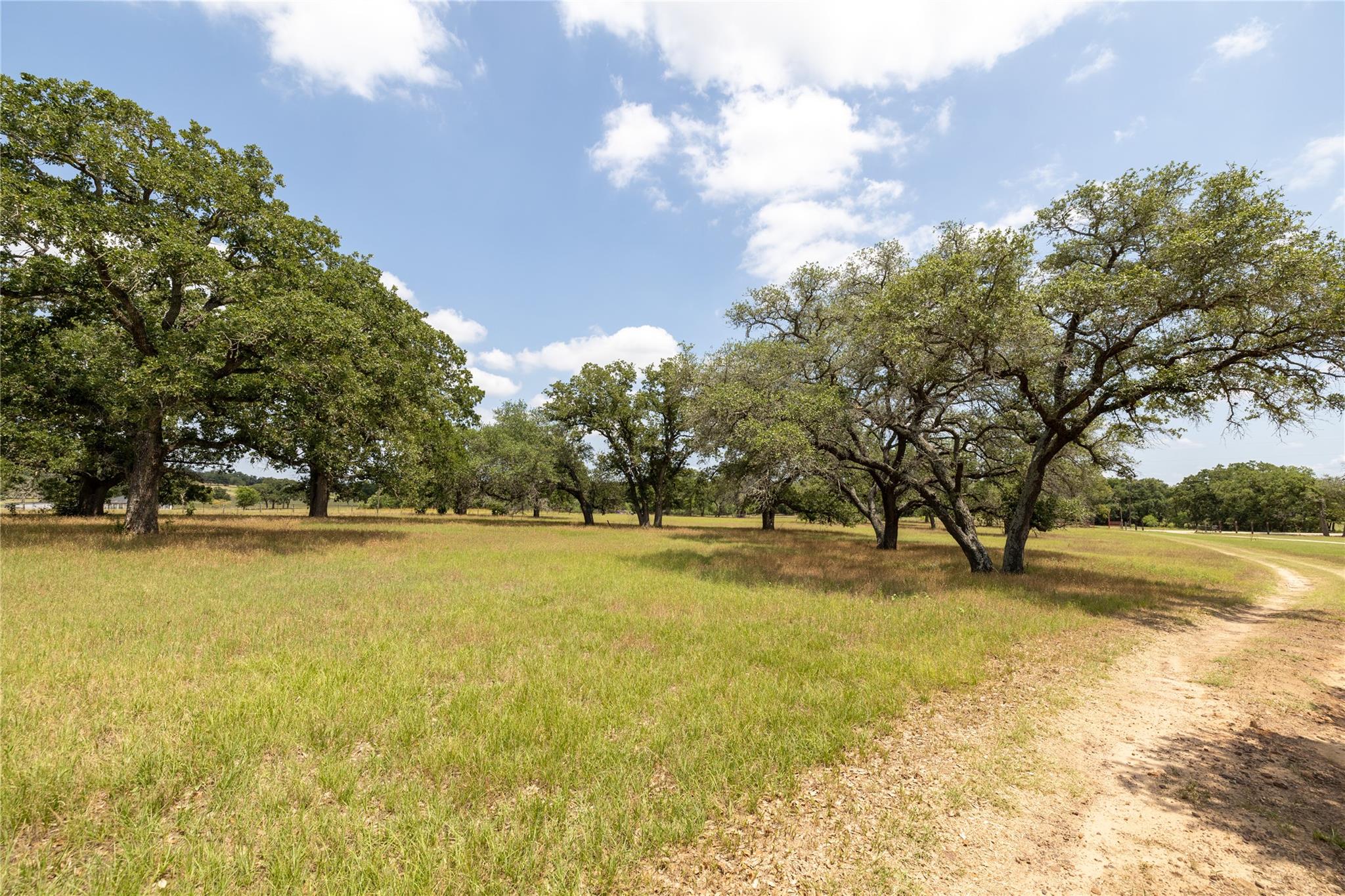 2901 Mule Creek Rd, Harwood, TX 78632