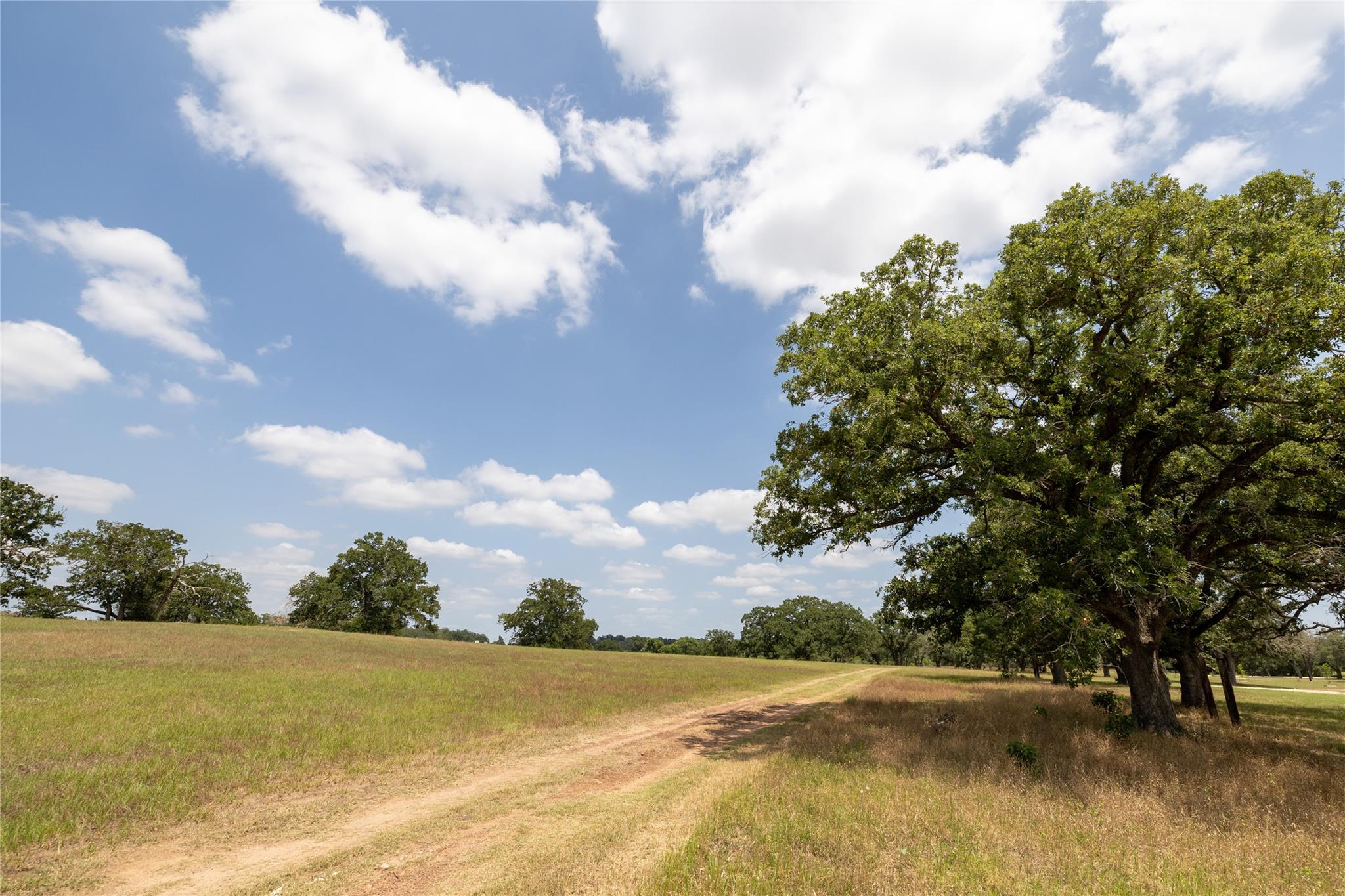 2901 Mule Creek Rd, Harwood, TX 78632
