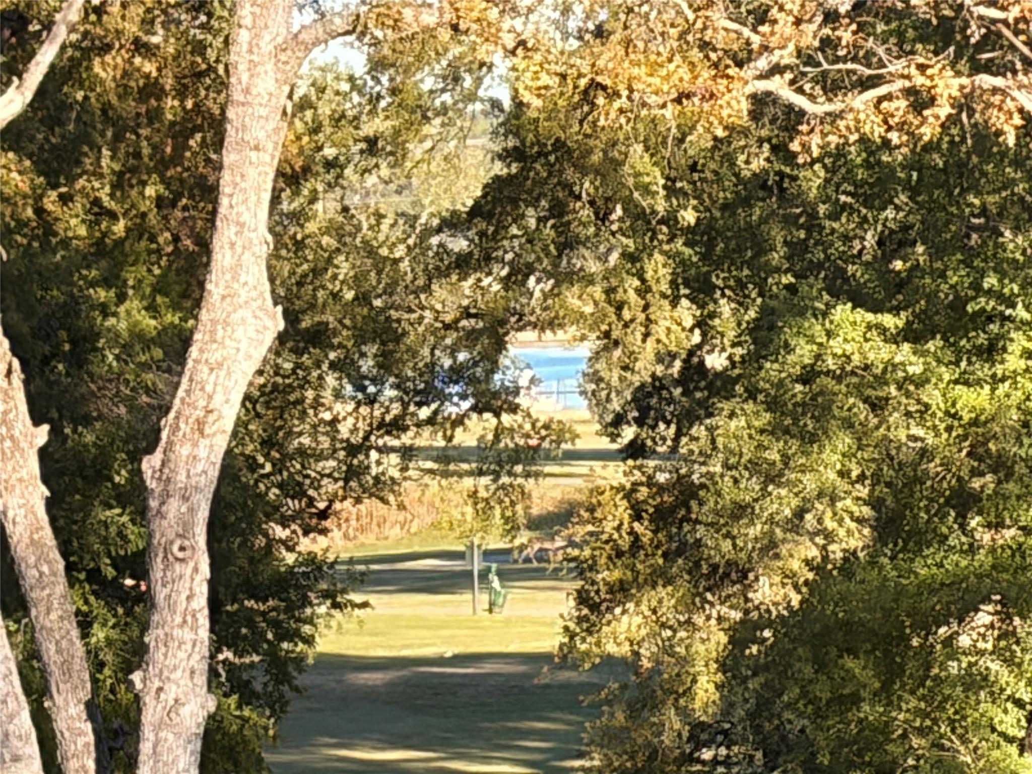 21010 Stone Cliff Dr, Lago Vista, TX 78645