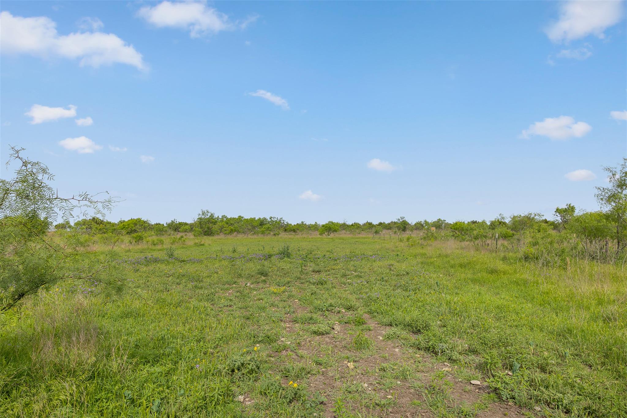 5990 FM 1241, Hamilton, TX 76531