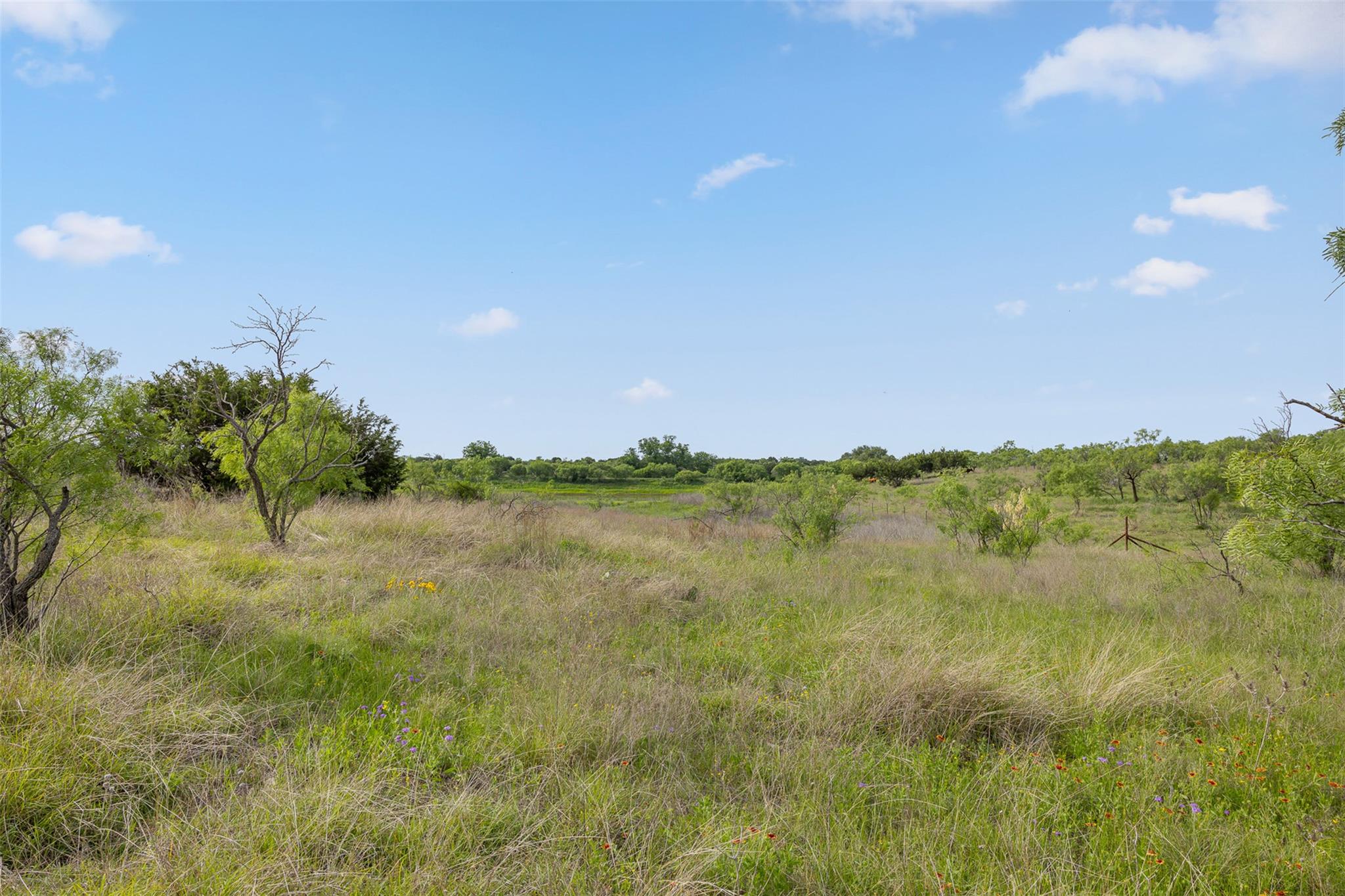 5990 FM 1241, Hamilton, TX 76531