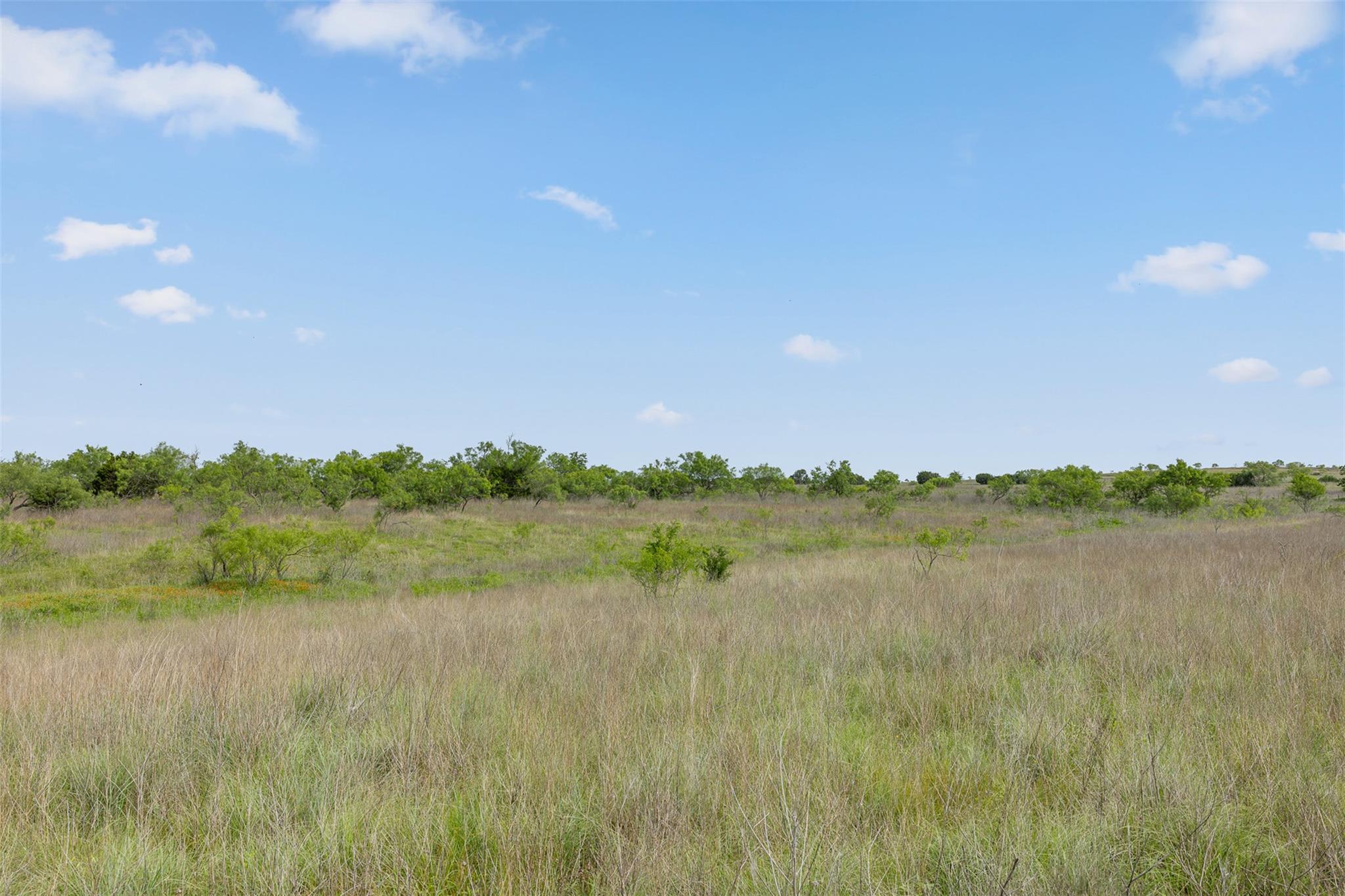 5990 FM 1241, Hamilton, TX 76531