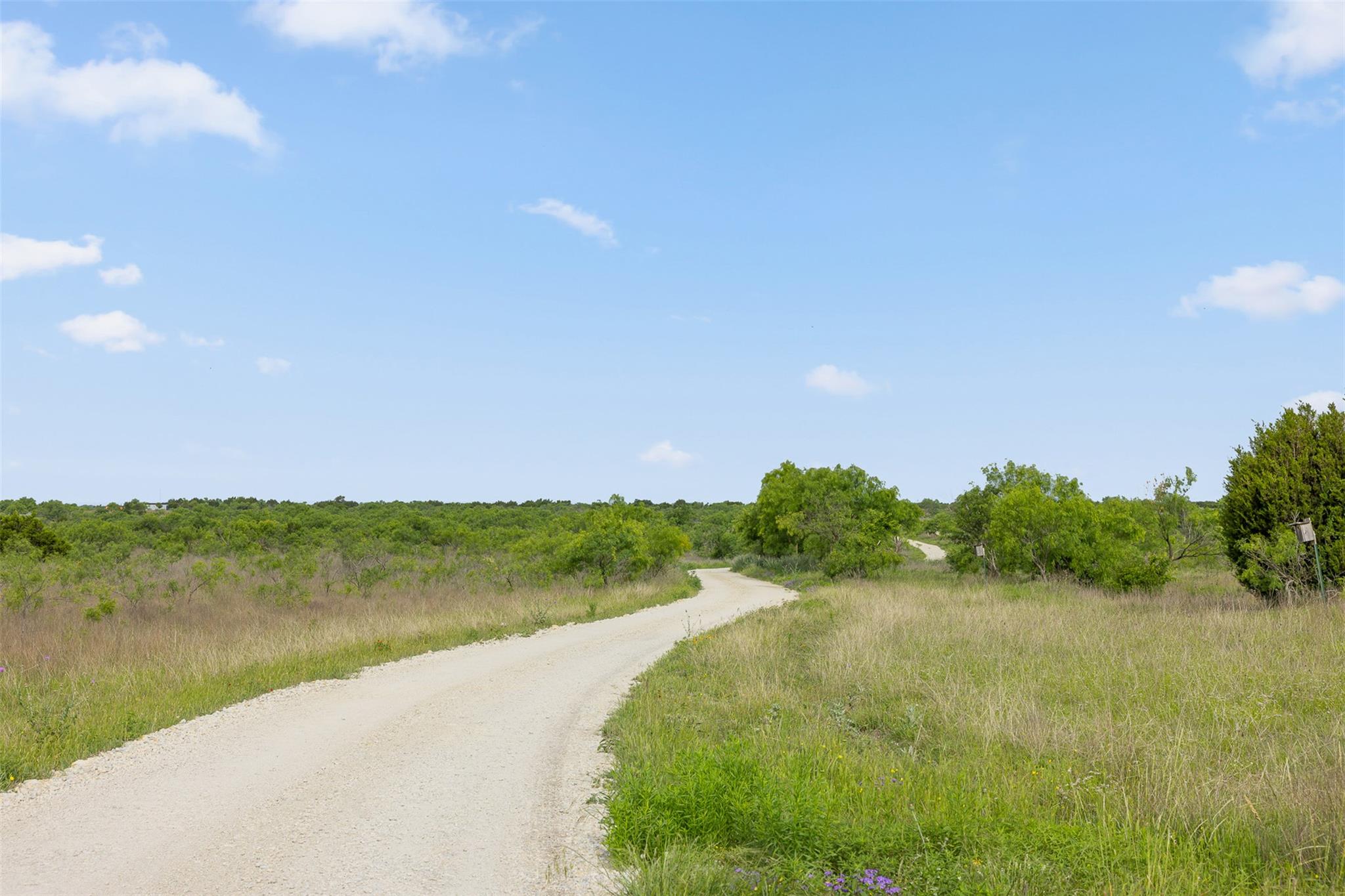 5990 FM 1241, Hamilton, TX 76531