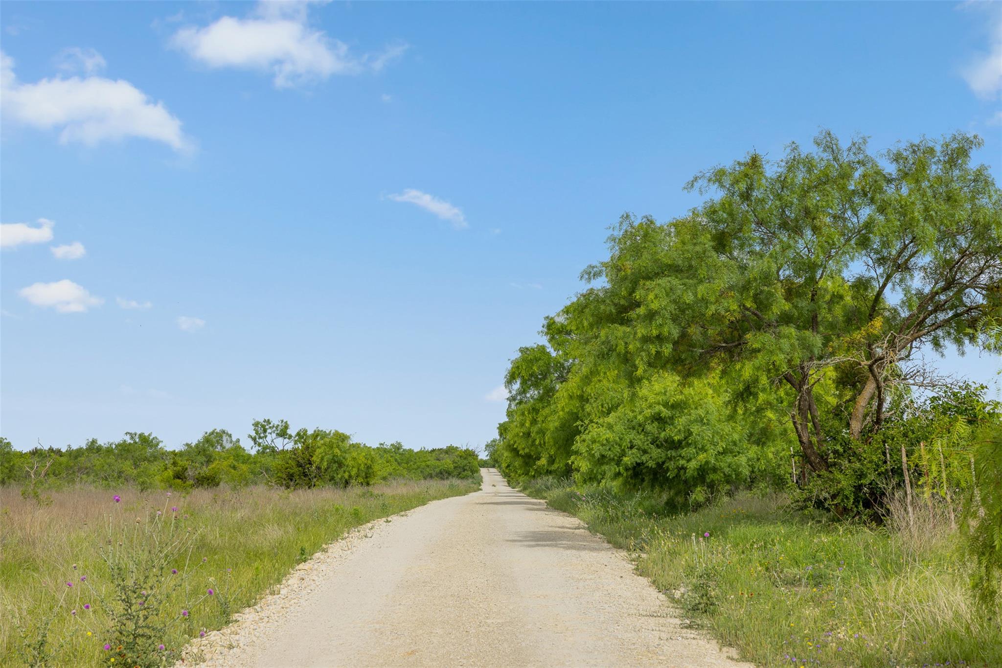 5990 FM 1241, Hamilton, TX 76531