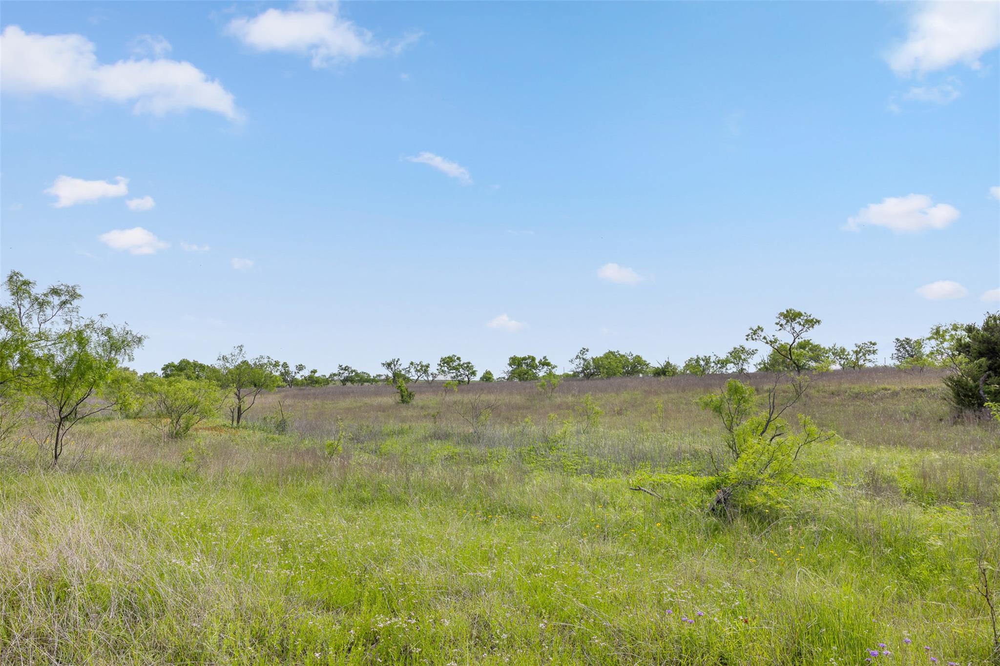 5990 FM 1241, Hamilton, TX 76531