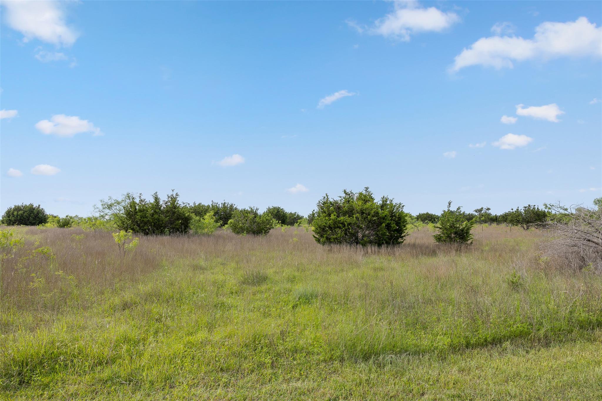 5990 FM 1241, Hamilton, TX 76531